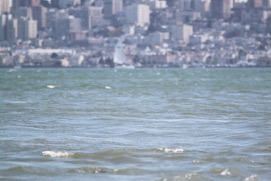 Missing Picture